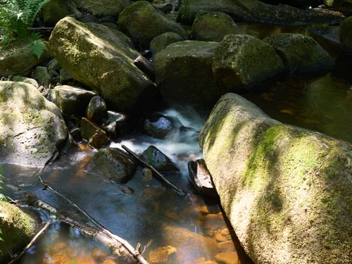 This is a nature landscape photograph capturing a long exposure of Burbage Brook as it gently flows through an array of large moss-covered rocks in the Peak District. The water appears silky smooth due to the long exposure technique, creating a soft contrast against the textured, rugged surfaces of the rocks. Sunlight filtering through the summer foliage creates interesting shadows across the rocks and water, suggesting it is early afternoon. The clear stream winds its way around the stones and fallen branches, with the scene showcasing the tranquil beauty of the Peak District and the persistent flow of water over time.